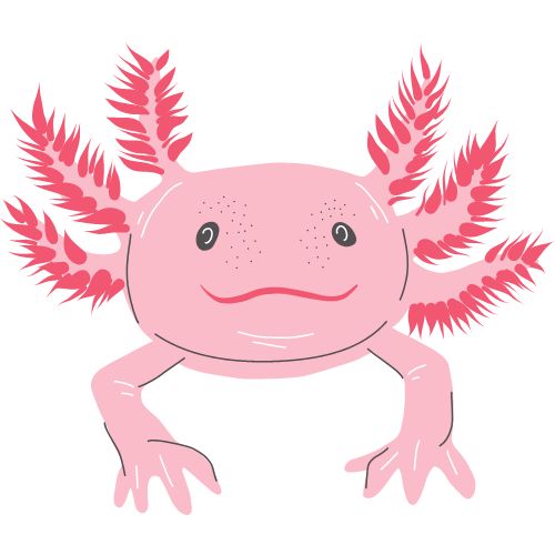 Axolotls - Best Aquatic Plants