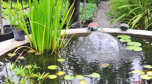 Pond Plant Placement By Depth