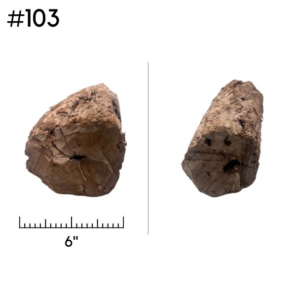 Extra Large Driftwood (Pick Your Own)