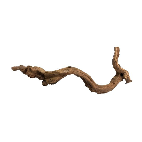 Pacific Driftwood