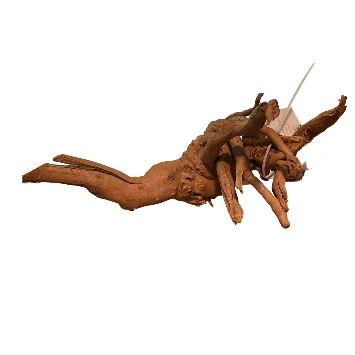 Aquatic Spider wood Driftwood