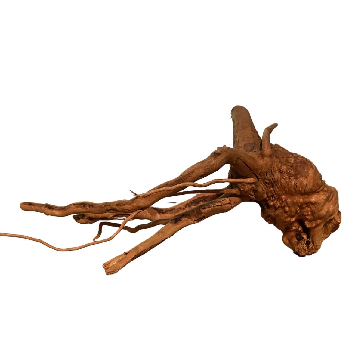 Aquatic Spider wood Driftwood