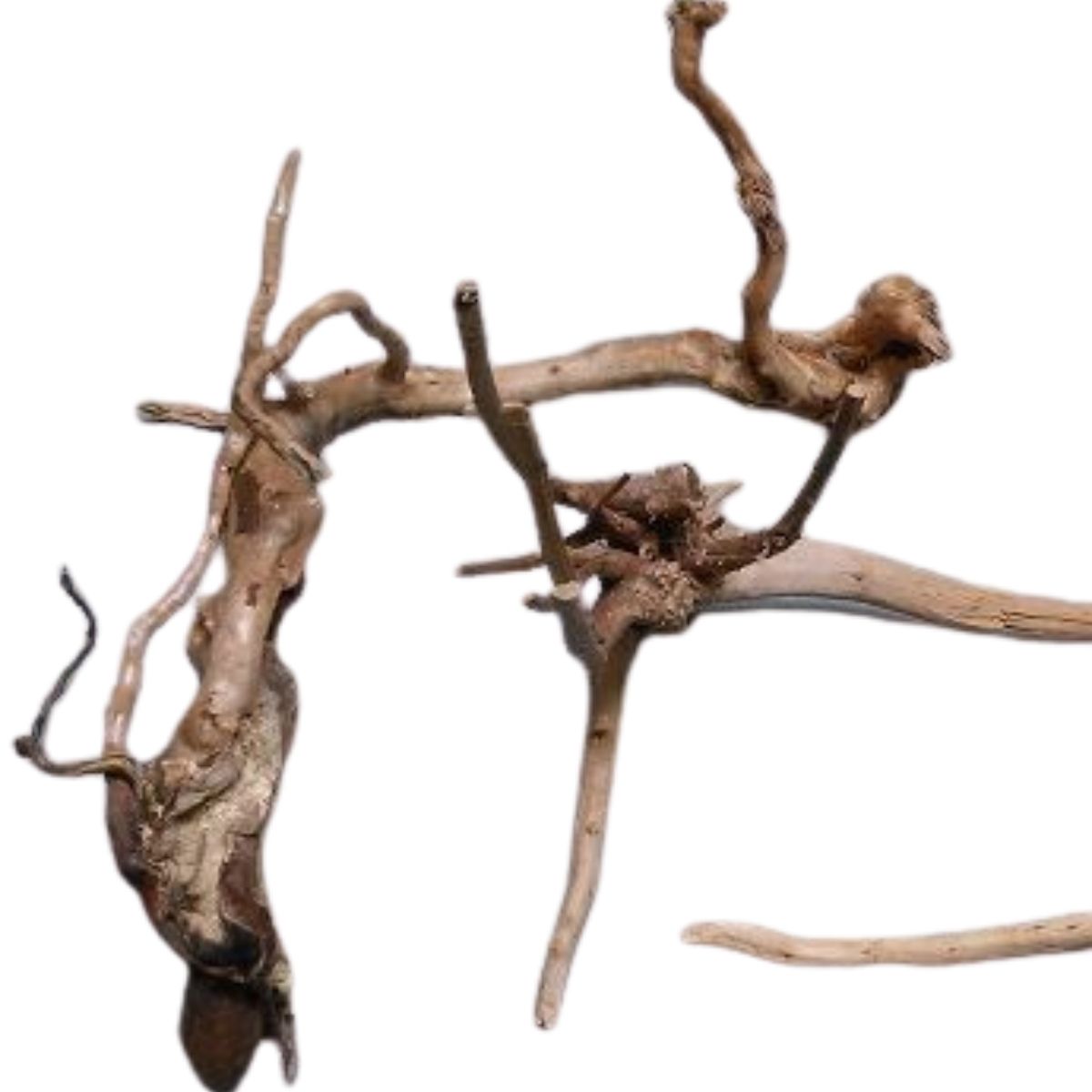 Aquatic Spider wood Driftwood