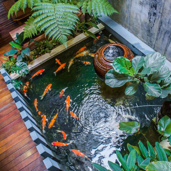 Prefab Ponds For Koi Fish HUIMART 33x10ft Outdoor HDPE Pond Liner 10 prefab-ponds-for-koi-fish-huimart-33x10ft-outdoor-hdpe-pond-liner-10