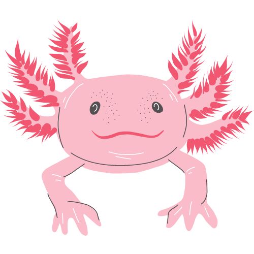  Axolotls - Best Aquatic Plants