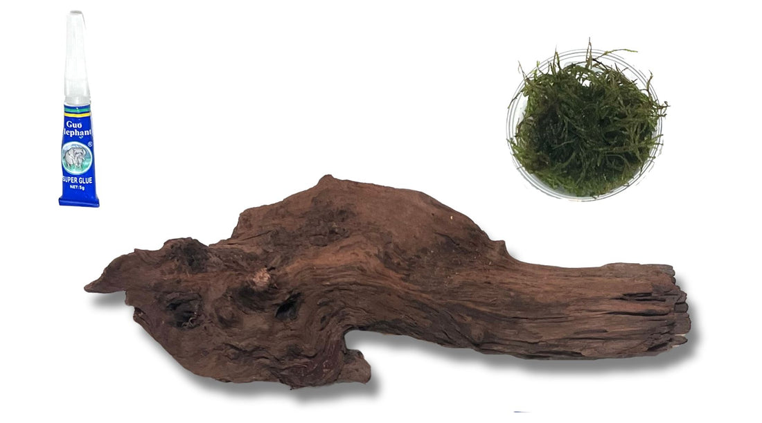 A Mossy Masterpiece: How to Attach Java Moss to Driftwood Like a