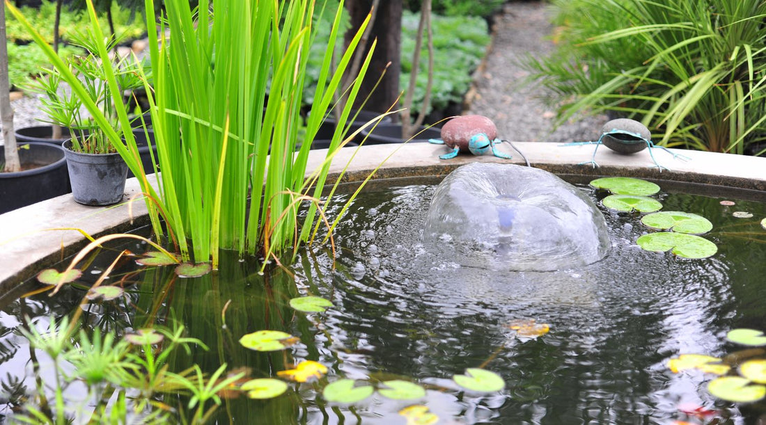 Pond Plant Placement By Depth