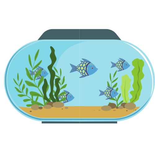 Great Aquatic Plants for Beginners