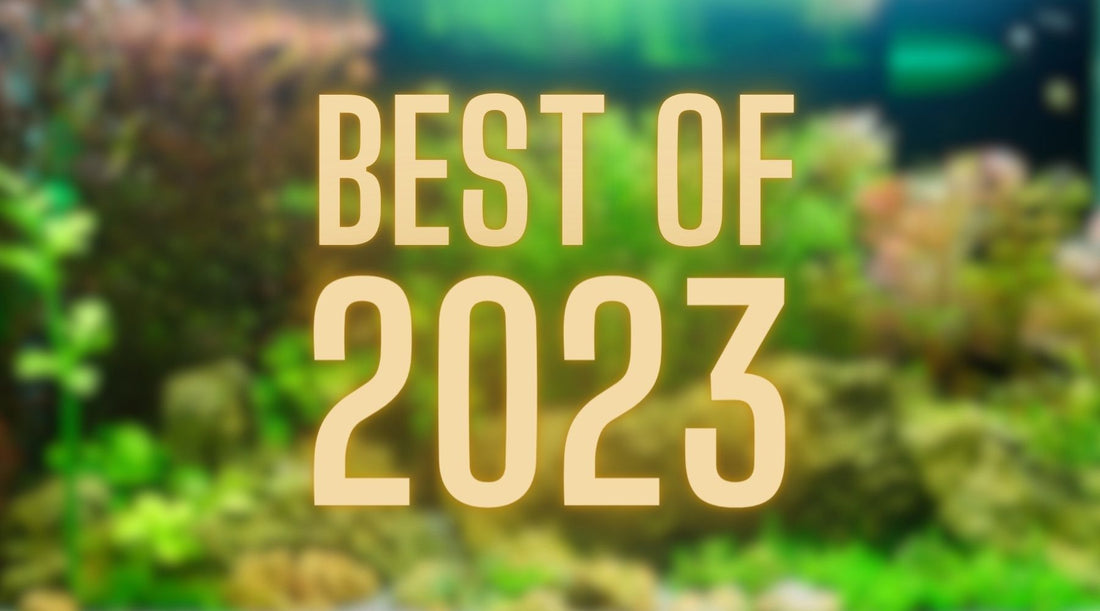 WetPlants the Most Popular Aquatic Plants of 2023