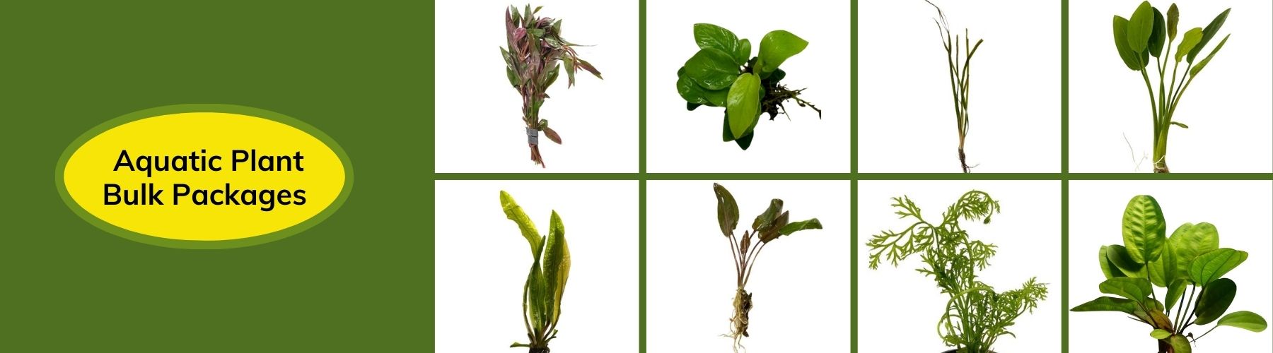 Bulk Plants