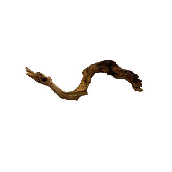Black Friday Promotional Pacific Driftwood