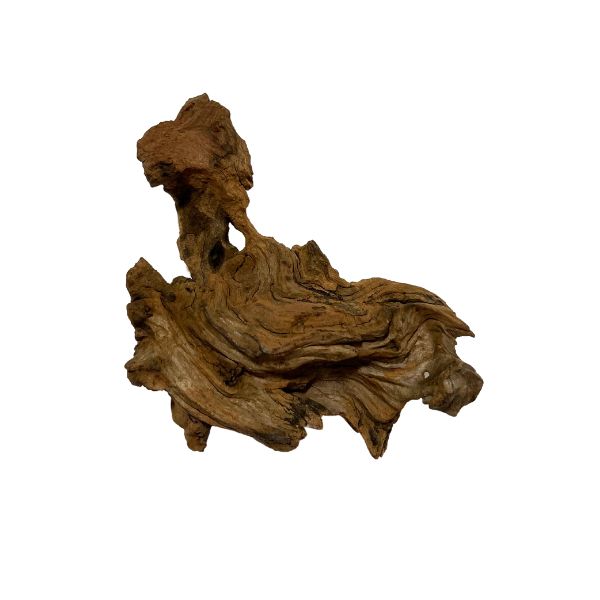 Black Friday Promotional Pacific Driftwood