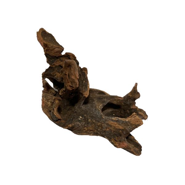 Black Friday Promotional Pacific Driftwood