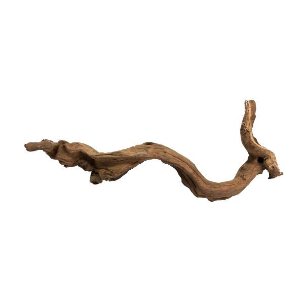 Black Friday Promotional Pacific Driftwood