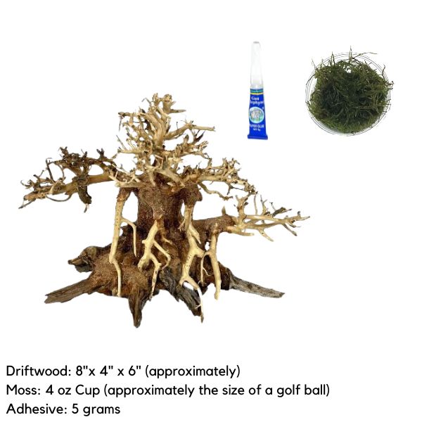 Aquarium Driftwood Moss adhesive combo Bonsai Tree wetplants