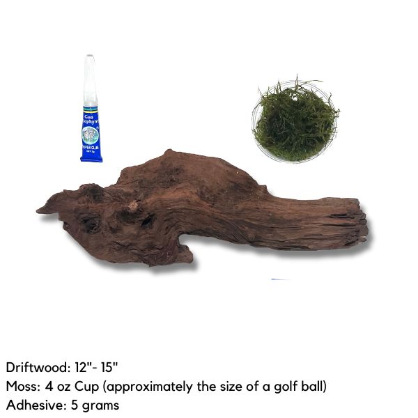 Aquarium Driftwood Moss adhesive combo large driftwood wetplants