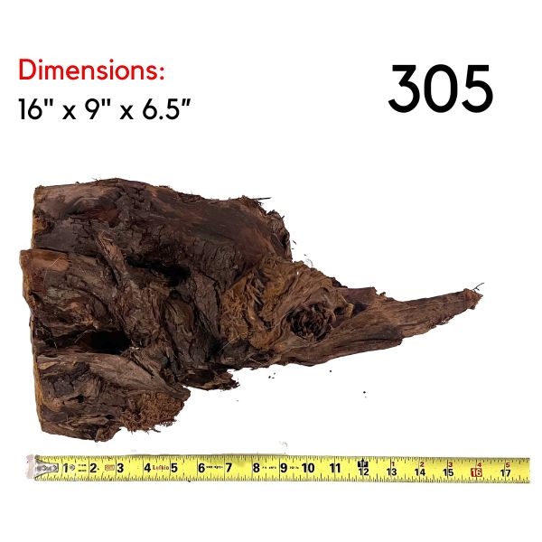 Large Pick Your Malaysian Driftwood