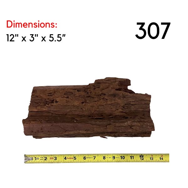 Large Pick Your Malaysian Driftwood
