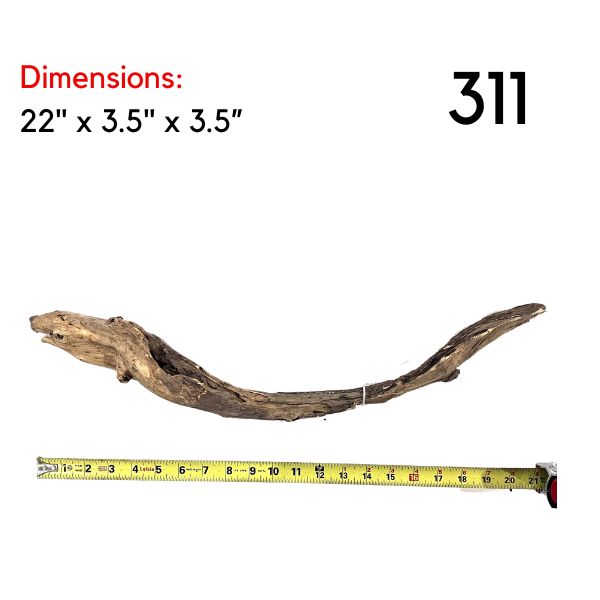 Large Pick Your Malaysian Driftwood