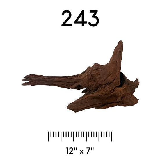 Pick Your Malaysian Driftwood Wetplants