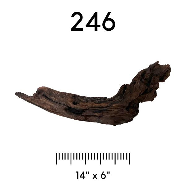 Pick Your Malaysian Driftwood - New Styles Added!