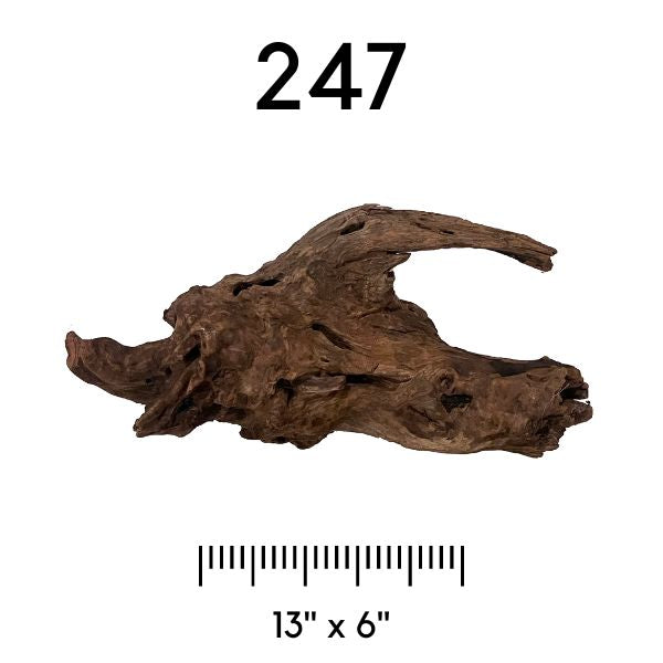 Pick Your Malaysian Driftwood Wetplants