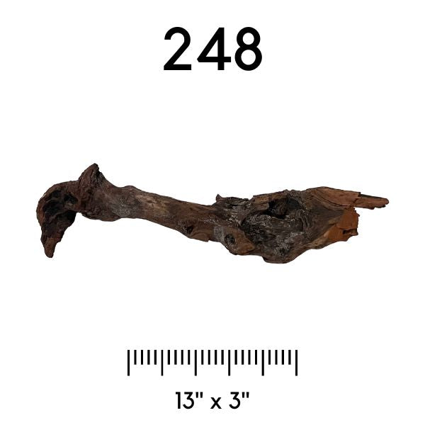 Pick Your Malaysian Driftwood Wetplants