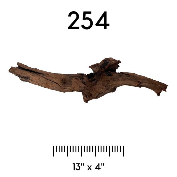 Pick Your Malaysian Driftwood Wetplants