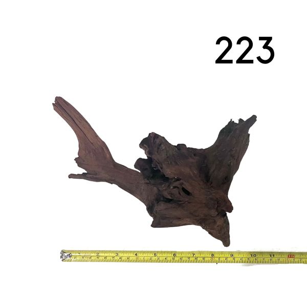 Pick Your Malaysian Driftwood Wetplants