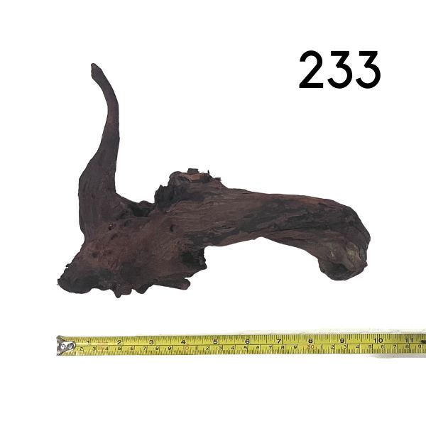 Pick Your Malaysian Driftwood Wetplants