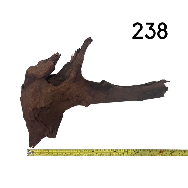 Pick Your Malaysian Driftwood Wetplants