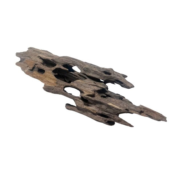 Shrimpwood driftwood