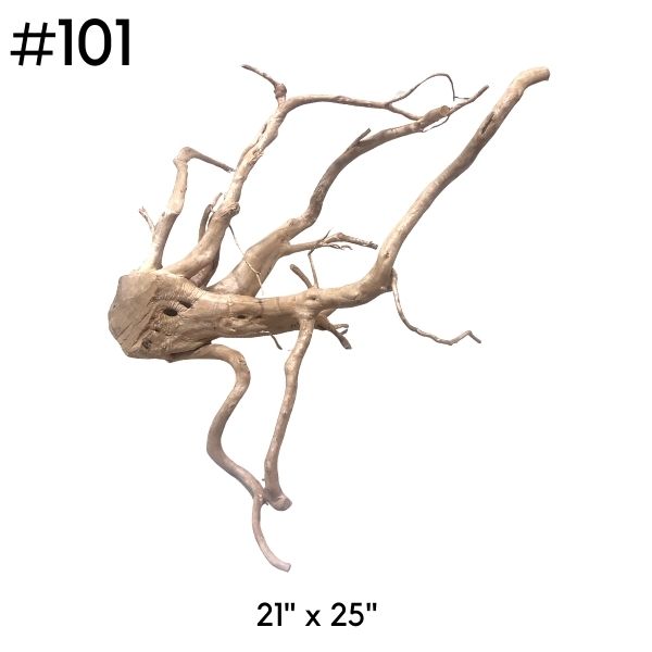 Extra Large Driftwood (Pick Your Own)