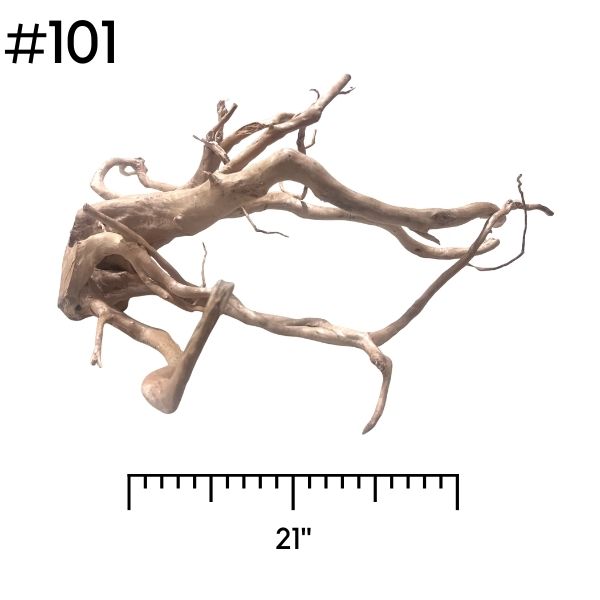 Extra Large Driftwood (Pick Your Own)