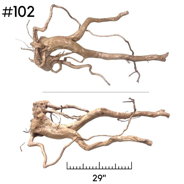 Extra Large Driftwood (Pick Your Own)