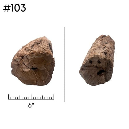 Extra Large Driftwood (Pick Your Own)