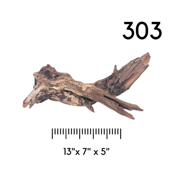 Pick Your Malaysian Driftwood - New Styles Added!