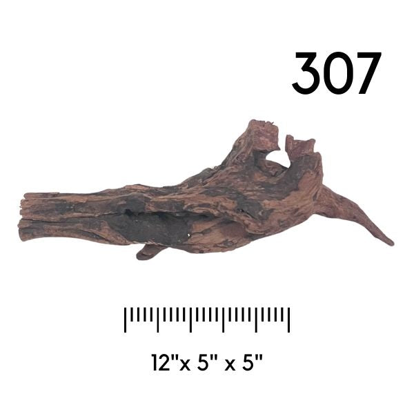 Pick Your Malaysian Driftwood - New Styles Added!