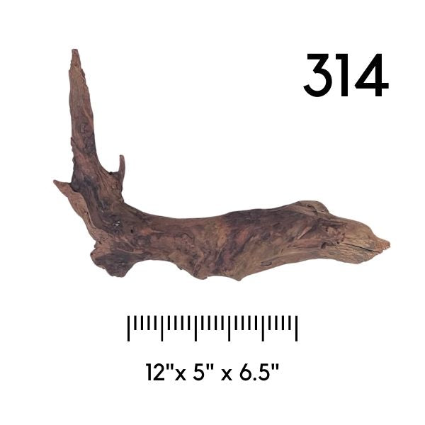 Pick Your Malaysian Driftwood - New Styles Added!