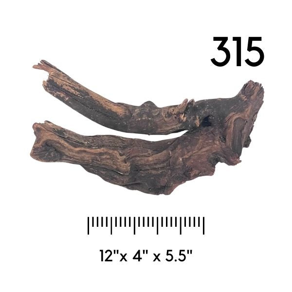 Pick Your Malaysian Driftwood - New Styles Added!