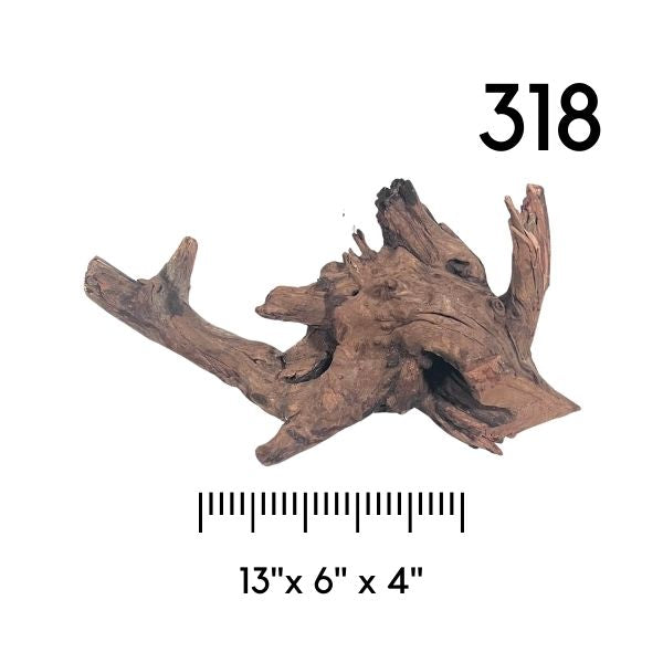 Pick Your Malaysian Driftwood - New Styles Added!