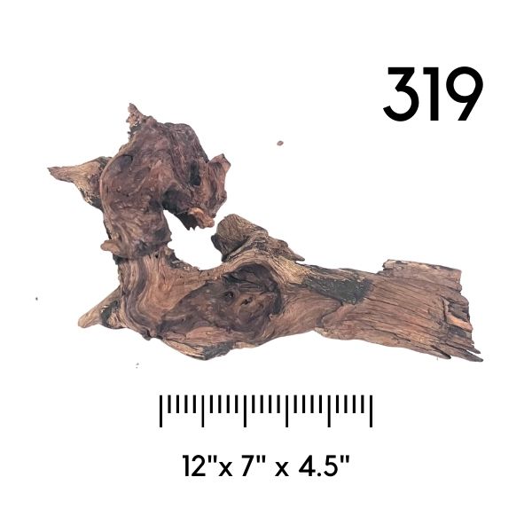 Pick Your Malaysian Driftwood - New Styles Added!