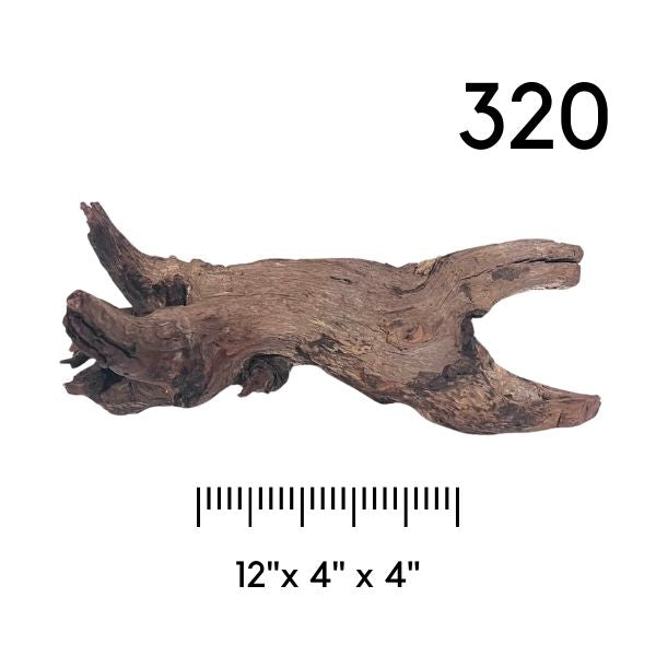 Pick Your Malaysian Driftwood - New Styles Added!