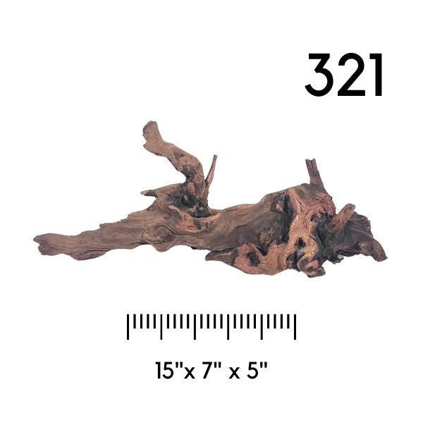 Pick Your Malaysian Driftwood - New Styles Added!