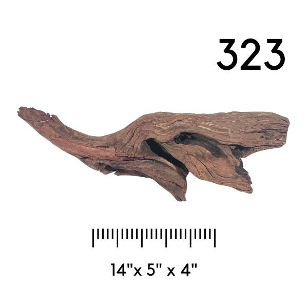 Pick Your Malaysian Driftwood - New Styles Added!