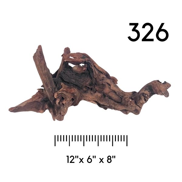Pick Your Malaysian Driftwood - New Styles Added!