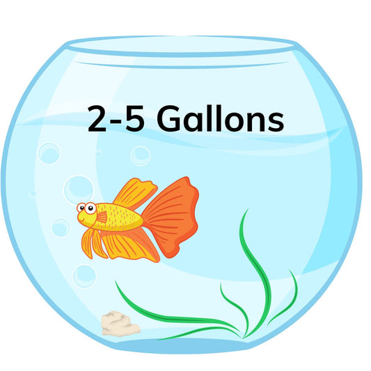 2 - 5 gallon tank
