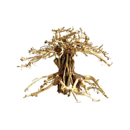 Yocemite Bonsai Tree Driftwood - 6"