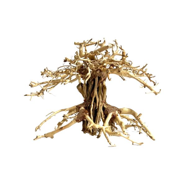 Yocemite Bonsai Tree Driftwood - 6&quot;