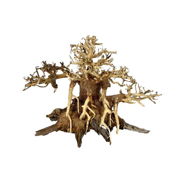 Hand-crafted Octopuswood Aquarium Bonsai Tree driftwood by WetPlants front